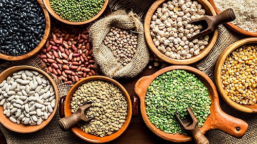 las legumbres contienen prote�nas y hierro