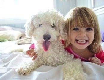 beneficios de una mascota para los ni�os