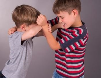 pelea entre hermanos, c�mo actuar