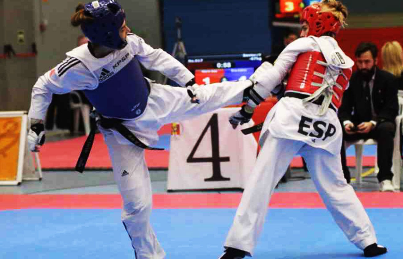 t�cnicas del taekwondo